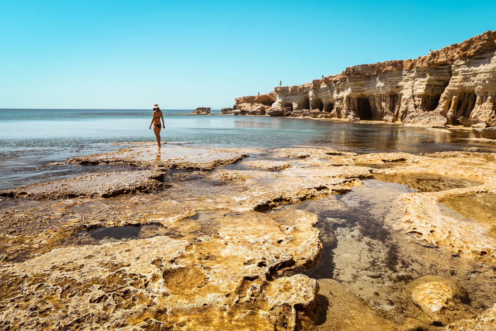 Local Tours & Experiences